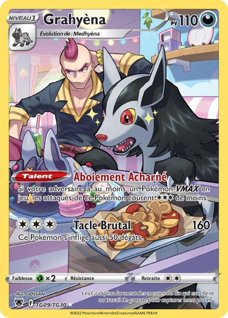 Carte Pokémon Grahyèna TG09/TG30 ASR Astres Radieux EB10 Neuf FR LorenZone
